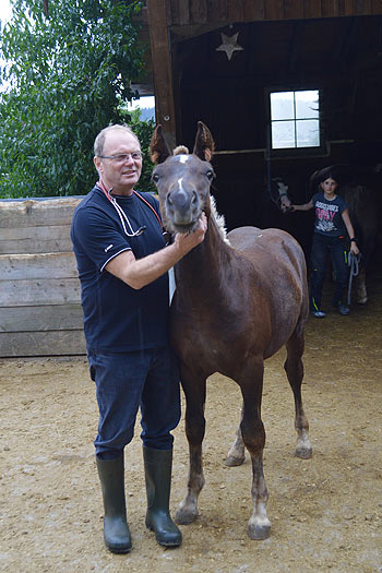 Immer im Einsatz! Heinrich Neuberger behandelt gro&szlig;e und kleine Tiere Fotos: Marille R&uuml;b
